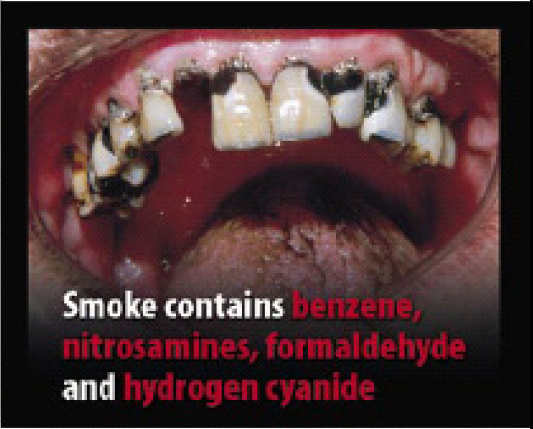 EU 2004 Consituents - diseased organ, benzene, nitrosamines, formaldehyde, hydrogen cyanide